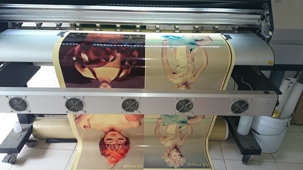 Cấu tạo của các sản phẩm decal pp